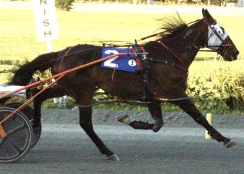 Campbell notches triple at Bangor Raceway