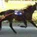 Campbell notches triple at Bangor Raceway 4 Campbell notches triple at Bangor Raceway