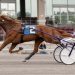 Can Elista Hanover return to winning ways?