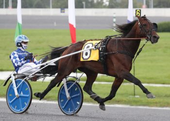 Get A Wish returning for Yonkers International Trot