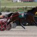 Longshot rallies to upset in Open Trot 2 Longshot rallies to upset in Open Trot