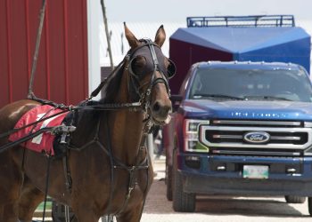 Eliminations for Manitoba’s richest event are set