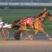 Kakaley and Alexander sweep $166,500 NYSS at Yonkers