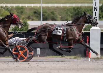 Infinite Symbol scores at The Meadows