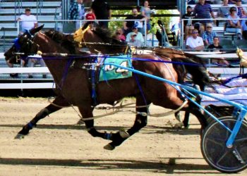 Mother and son win on same race card