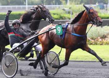 16-1 upset winner in 150,000€ Arqana Trot