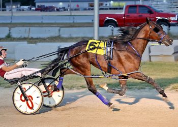 Sloppy conditions for freshmen in Buckeye Stallion Series