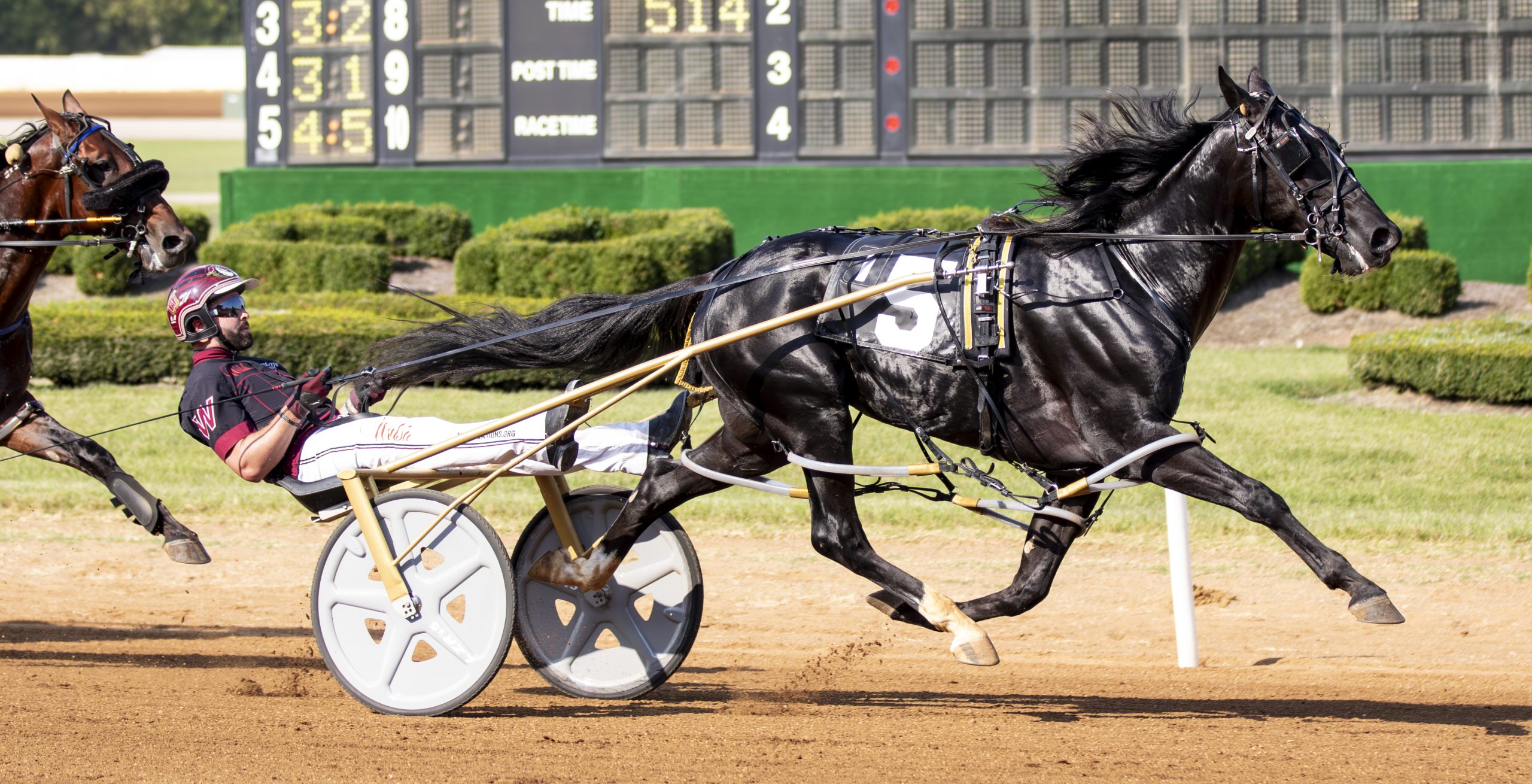 Louprint retired to stud after $1.7 million career 1