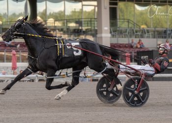 Louprint too tough in PaSS