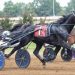 33-1 longshot shocks field in $80,000 KY Sire Stakes