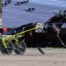 PJ’s Dream, Four Wide N Flyin take Meadows features