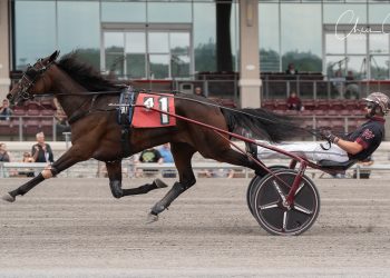 Unbeaten filly gets tested in PASS