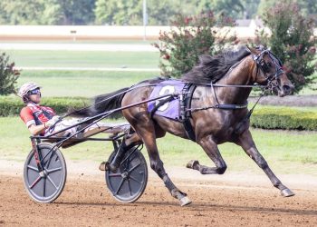 33-1 longshot shocks field in $80,000 KY Sire Stakes