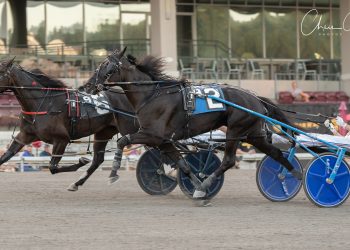 Stakes record tied in $146,622 PaSS