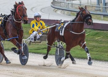 15 lot auction ends on Wednesday