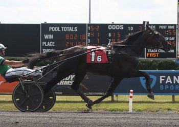 Rookie trotters battle in NJSS finals at the Meadowlands