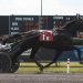 Rookie trotters battle in NJSS finals at the Meadowlands