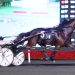 Grassroots contenders battle in $75,000 championships