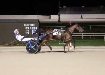 The Word Is Out dominant in Ohio Sires Stakes action