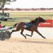 Samantha Pascoe’s rise in harness racing continues