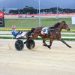 Treble for Ford at Hobart