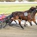 Kellerberrin set to celebrate 100 years of harness racing