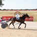 New track records set at Gawler