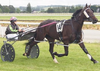 Kirstin Green talks Invercargill