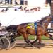 Bringoverthemoney gets fifth straight Night of Champions win 1