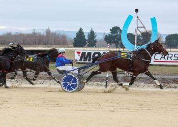 Clonakilty and Muchacho face next test