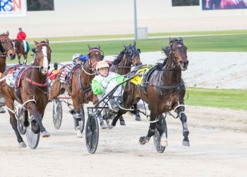 Weekly spotlight on breeding