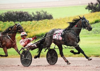 Solid form no problem on sloppy Pocono oval