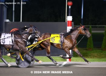 Fourth straight for Grassroots-contending rookie