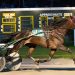 Longshot Credarena equals lifetime best at Batavia 2