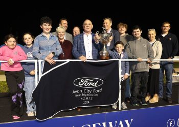 The Goose takes another feature