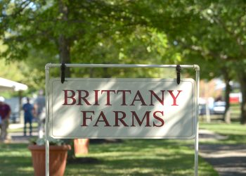 Lexington Britflix now available