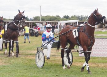 Ferguson’s pair ready for Oamaru