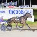 Unbeaten trotter sidelined for the rest of the year 2 Derek soars in Vicbred Super Series