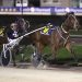 Stars shine at Addington