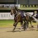 Williamsons set to continue their Classique form 3 Williamsons set to continue their Classique form