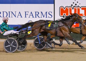 Victorian mare wins thrilling Club Menangle Trotters Cup