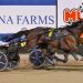 Victorian mare wins thrilling Club Menangle Trotters Cup