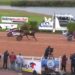 Grand National du Trot to Hero Sibey