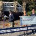 How the National Standardbred Horse Show saves lives 3