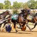 Canadian Pacing Derby champ wins in KYSS 3