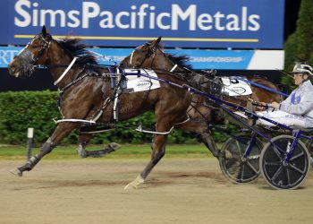 Sires Stakes reschedule after spectacular false start