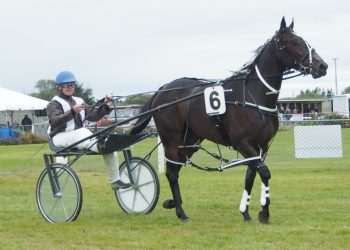 Ferguson’s pair ready for Oamaru