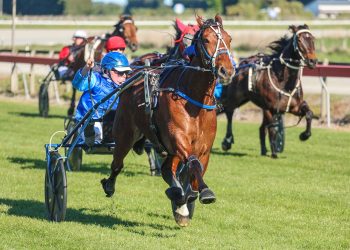 Storming finish from Mr Love wins Cup