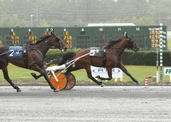 Polansky, Reisenweaver victorious in AHDC Trots