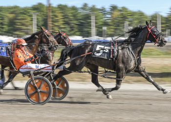 Mocha On The Rocks pours it on at Cumberland